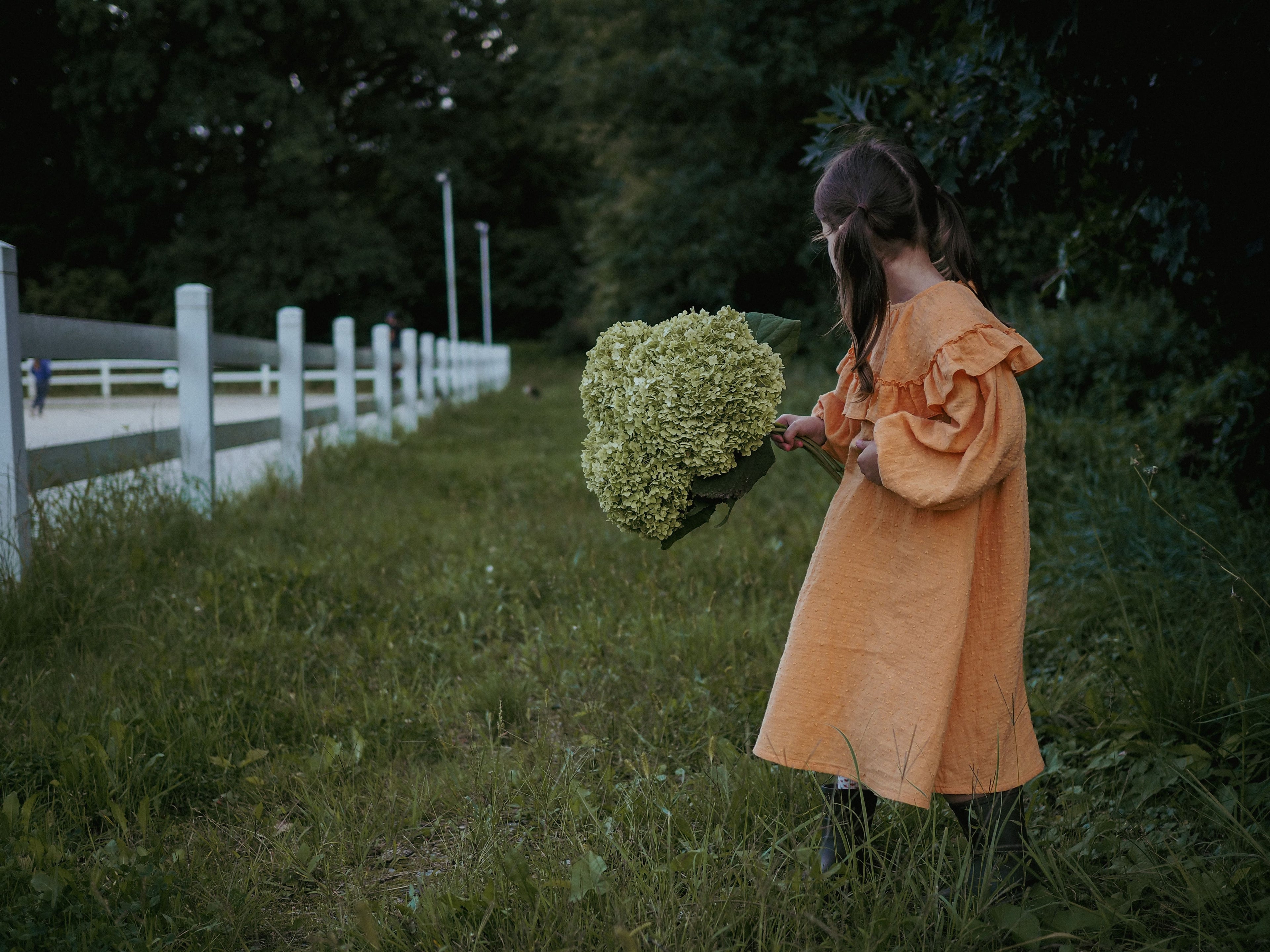 KLEID ALICE MANGO